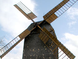 Bild Veranstaltung Bockwindmühle Wilhelmsaue