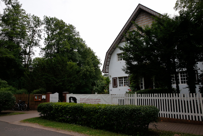 Galeriebild 39