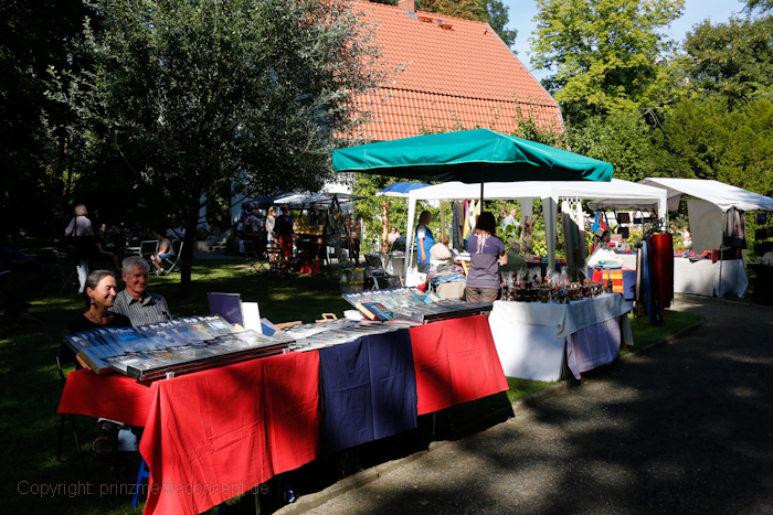 Galeriebild 13