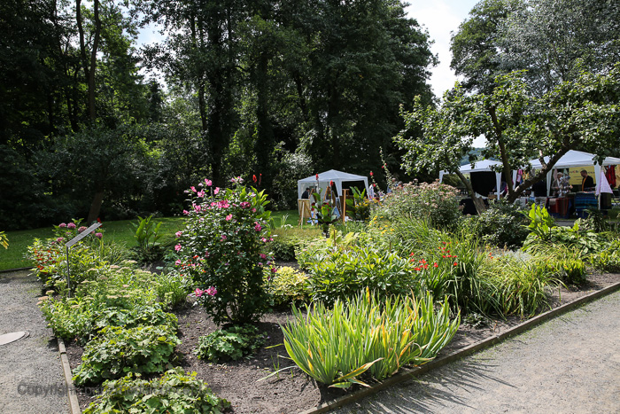 Galeriebild 2