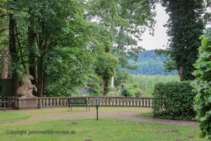 Galeriebild 53
