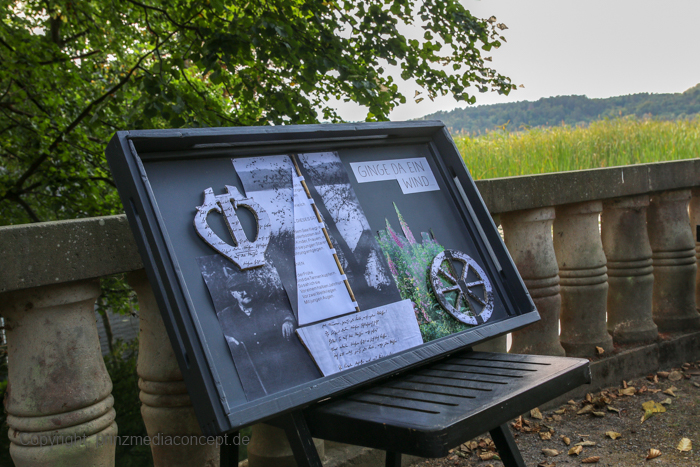 Galeriebild 16