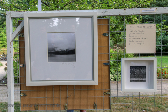 Galeriebild 26