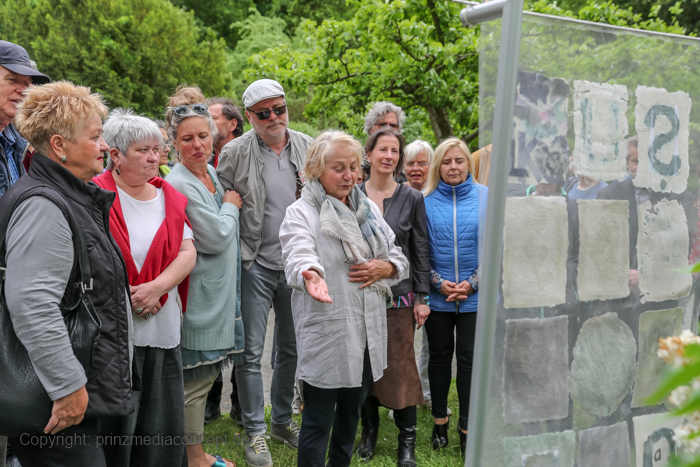 Galeriebild 43