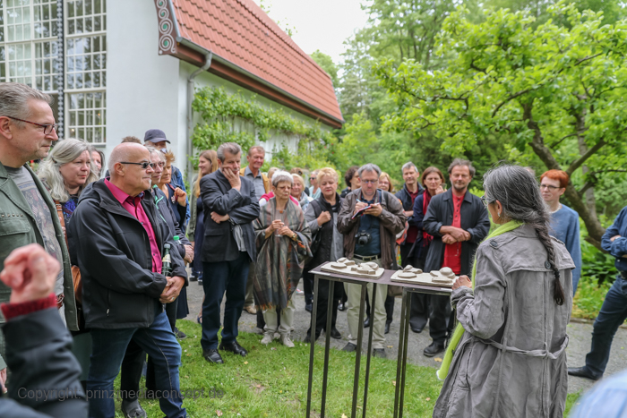 Galeriebild 46