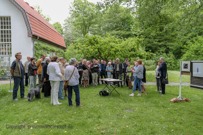 Galeriebild 49