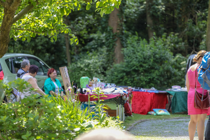 Galeriebild 12