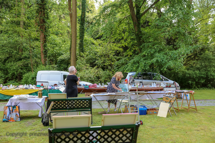 Galeriebild 15