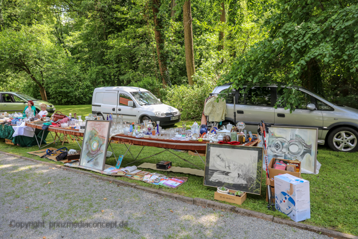 Galeriebild 19