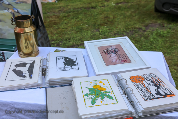 Galeriebild 23