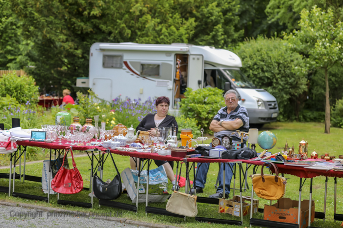 Galeriebild 27