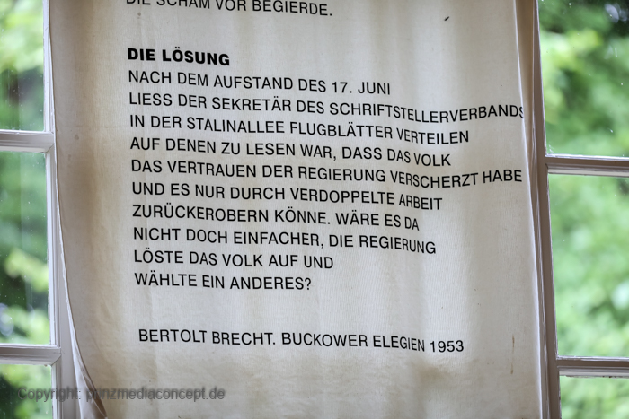 Galeriebild 33
