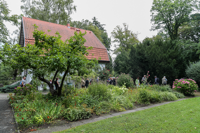 Galeriebild 38