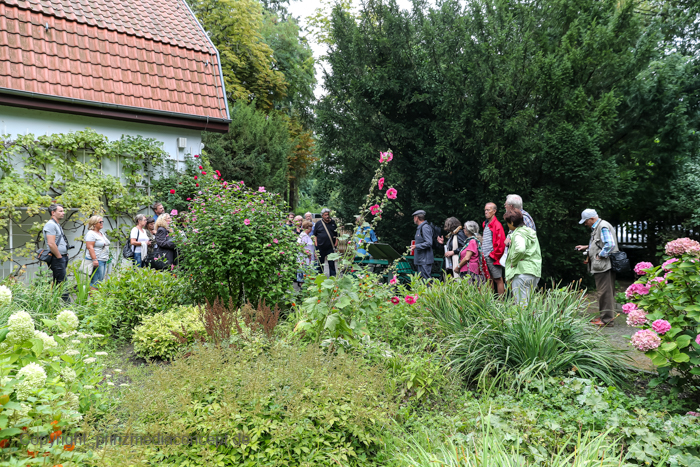 Galeriebild 40