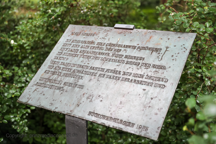Galeriebild 52
