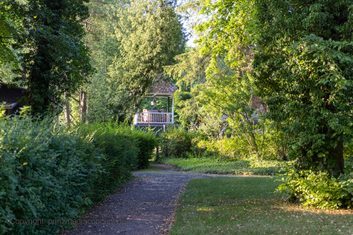 Galeriebild 67