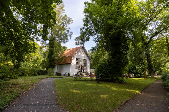 Galeriebild 56