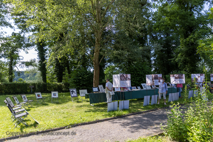 Galeriebild 6