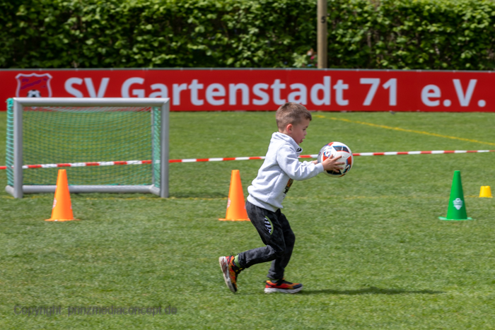 SV Gartenstadt 71 (Herren)