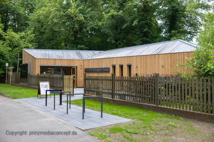 Galeriebild 2