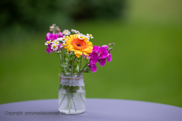 Galeriebild 42