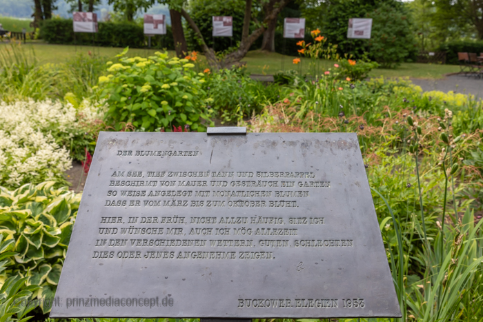 Galeriebild 73
