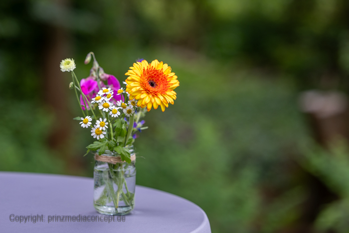 Galeriebild 8