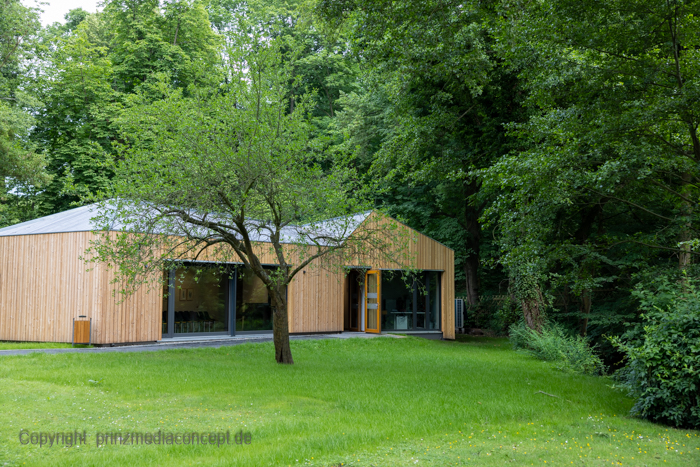 Galeriebild 31
