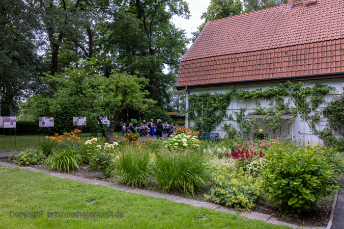Galeriebild 6