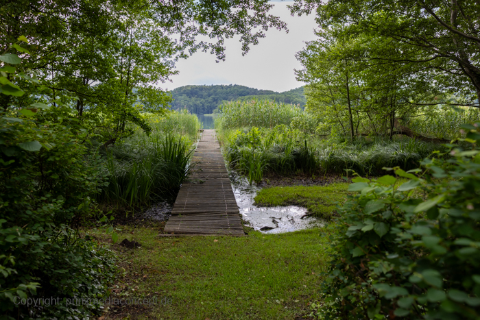 Galeriebild 7