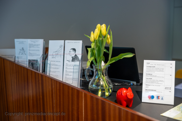 Galeriebild 9