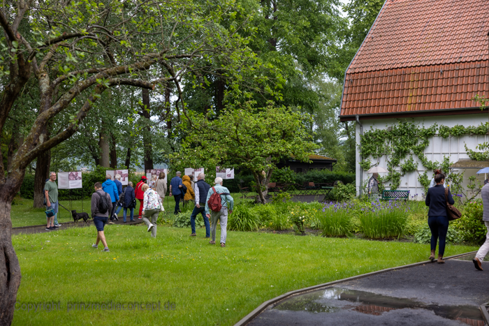 Galeriebild 4