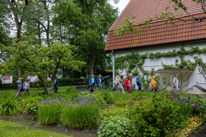 Galeriebild 5