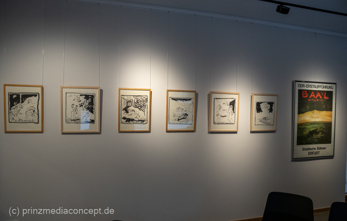 Galeriebild 11