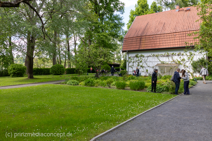 Galeriebild 10