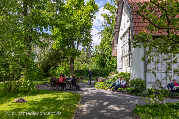 Galeriebild 15