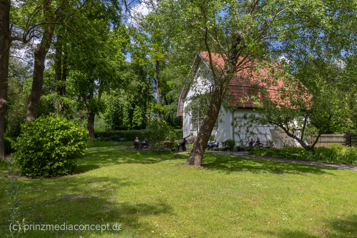 Galeriebild 19