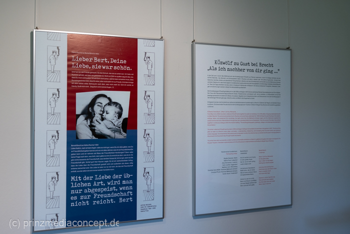 Galeriebild 4