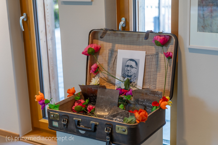 Galeriebild 5
