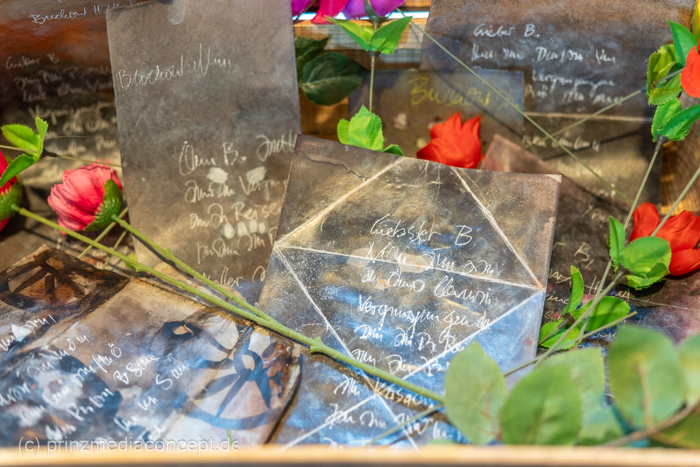 Galeriebild 8