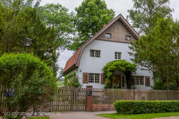 Galeriebild 2