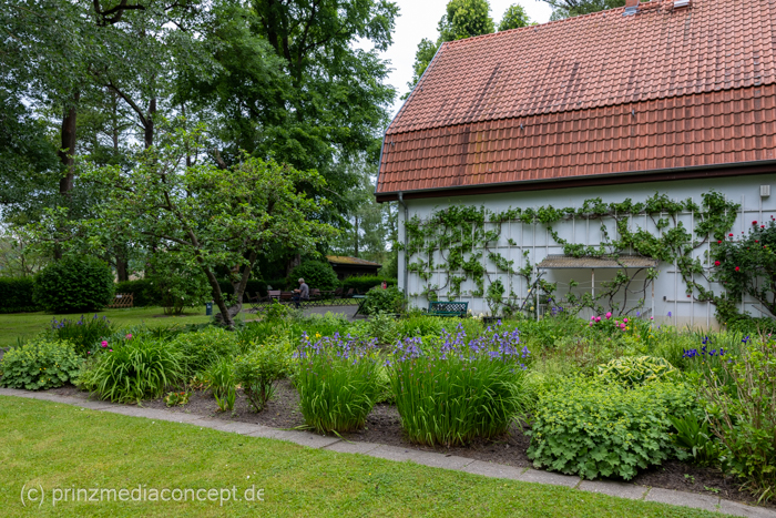 Galeriebild 4