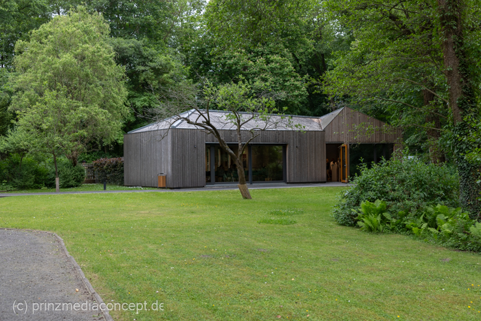 Galeriebild 5