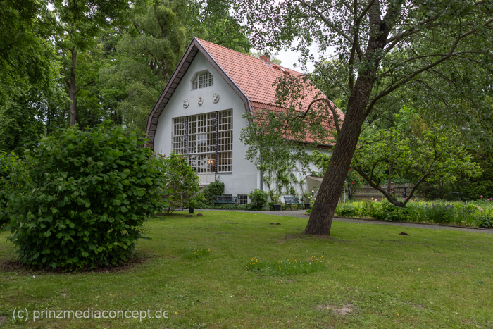Galeriebild 9