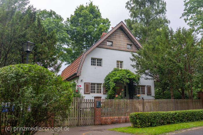 Galeriebild 2