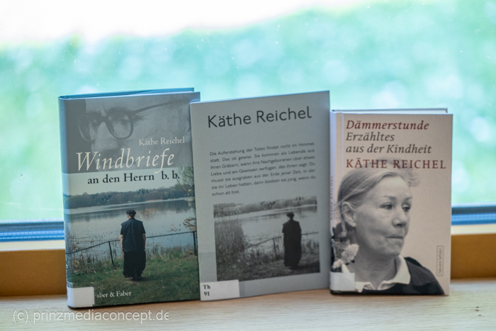 Galeriebild 11