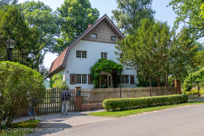 Galeriebild 2