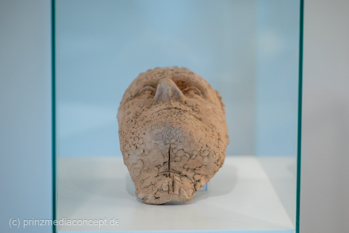 Galeriebild 10