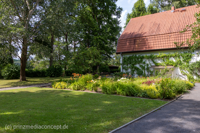 Galeriebild 12