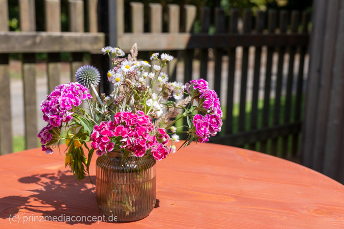 Galeriebild 4